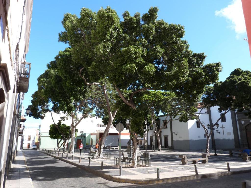 La Casa De Vegueta Apartment Las Palmas de Gran Canaria Exterior photo